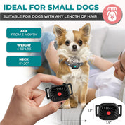 SilentShield | Pet-Friendly Bark Regulator