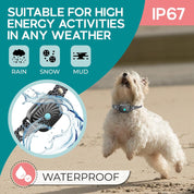 SilentShield | Pet-Friendly Bark Regulator