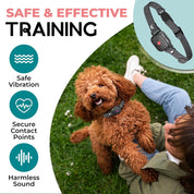 SilentShield | Pet-Friendly Bark Regulator