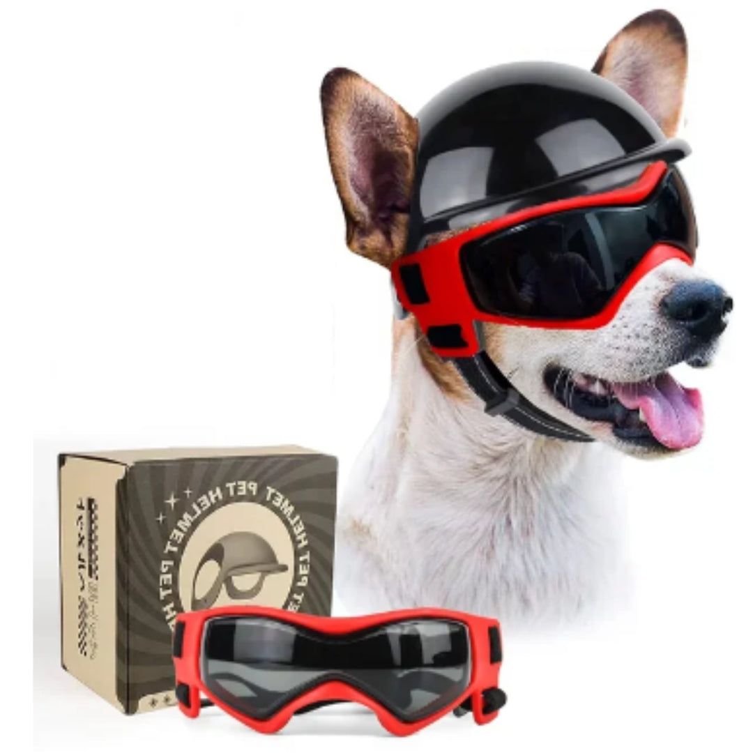 Dog helmet and glasses - Riderpaw