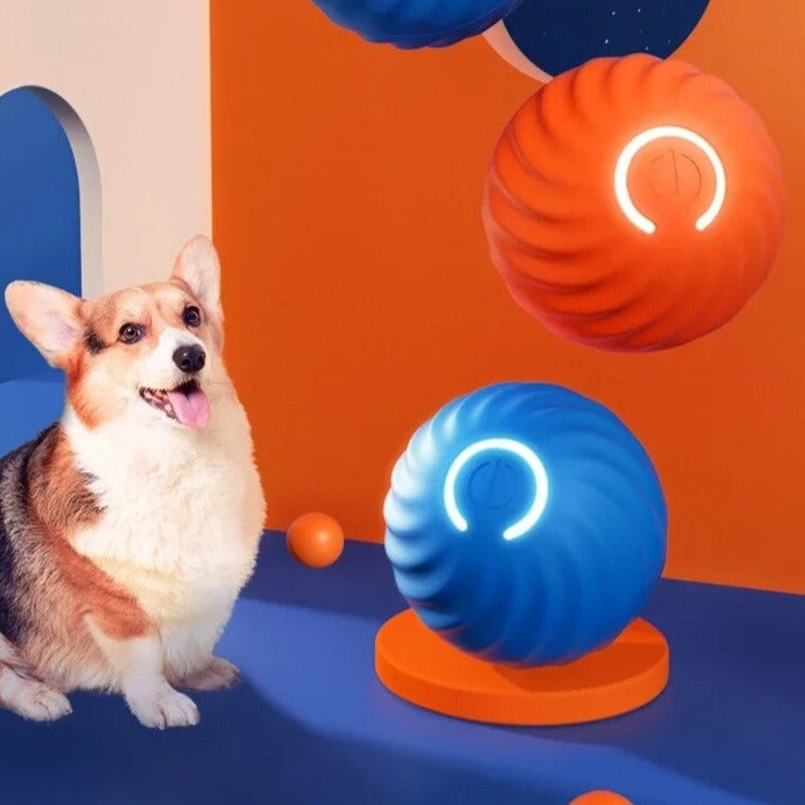Happily ball | Infinite game time for your animal lover!-3