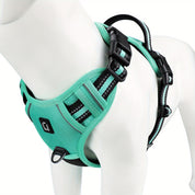 Dog tuft - Safewalk