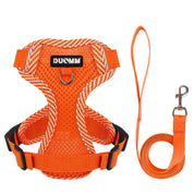 Reflecting harness and belt set for small dogs - Airflex