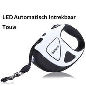 Retractable dog leash with LED lighting - Safepaw