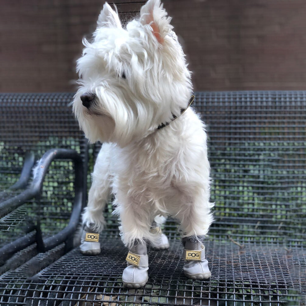 Warm dog snow boots - Snowpaws