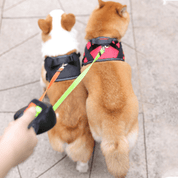 Doubledog ™ - Wrap free double dog leash with flashlight