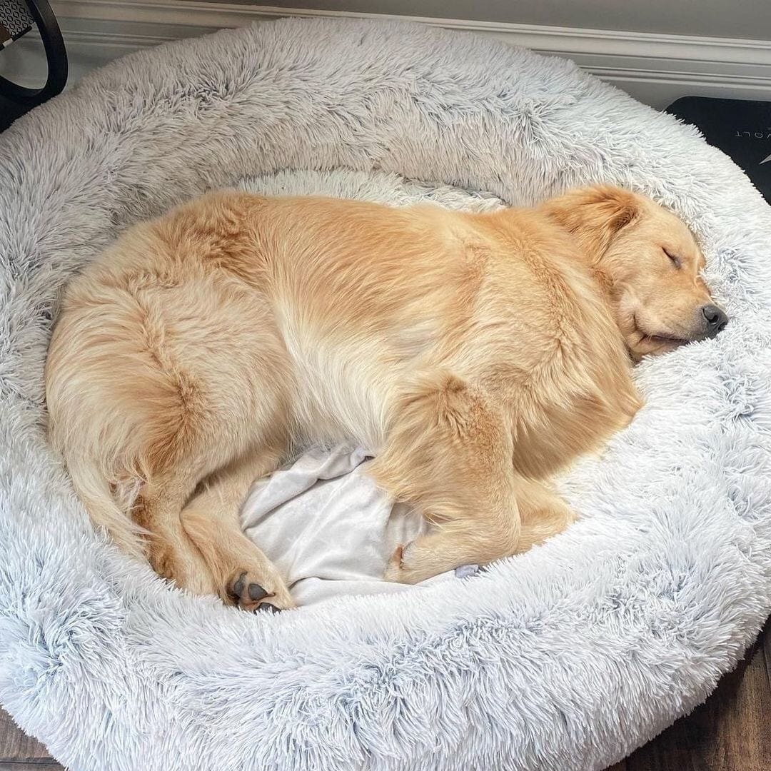 Fluffy Calming Bed ™