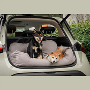 Luxury travel bed for dogs - Pawsrest