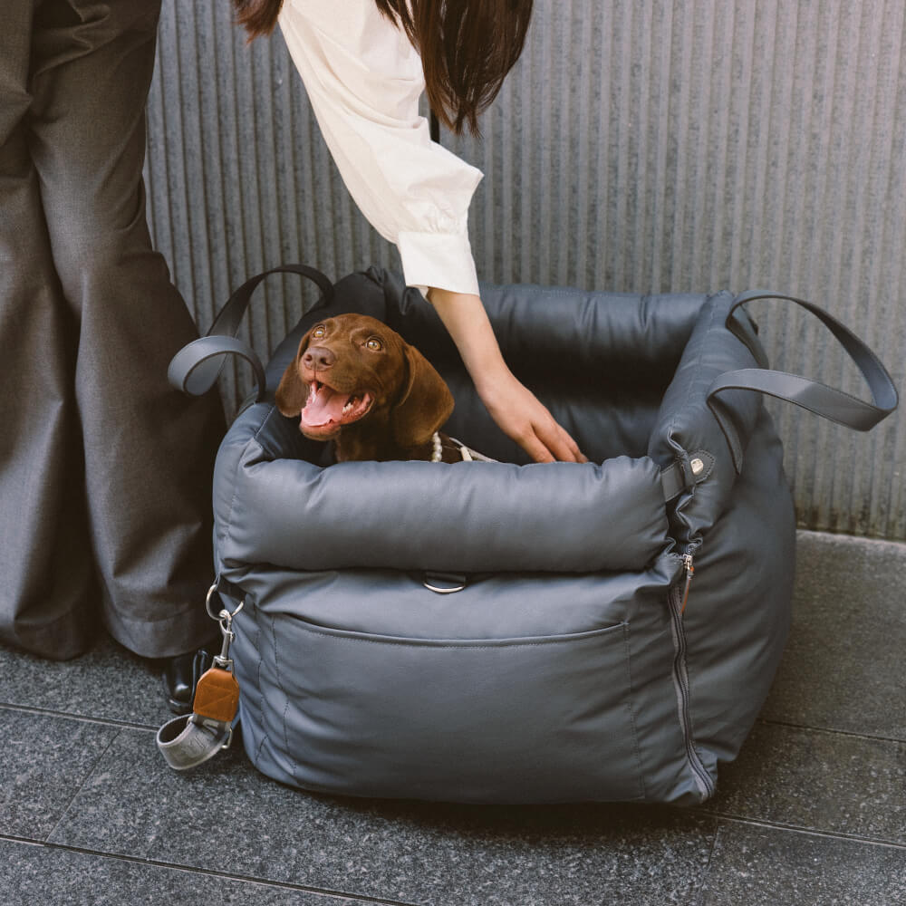 Comfortable car seat for dogs - Pawluxury