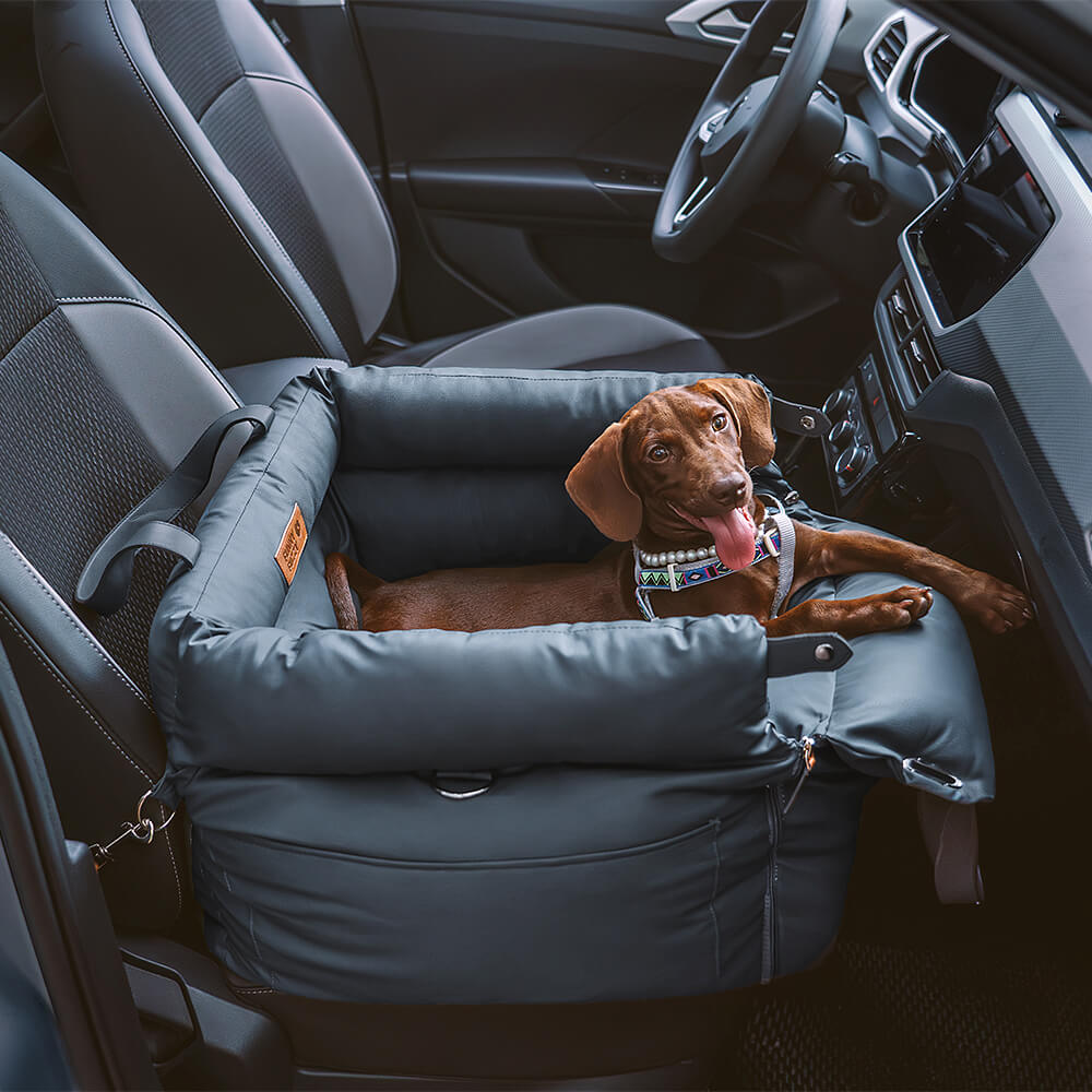 Comfortable car seat for dogs - Pawluxury