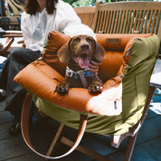 Comfortable car seat for dogs - Pawluxury