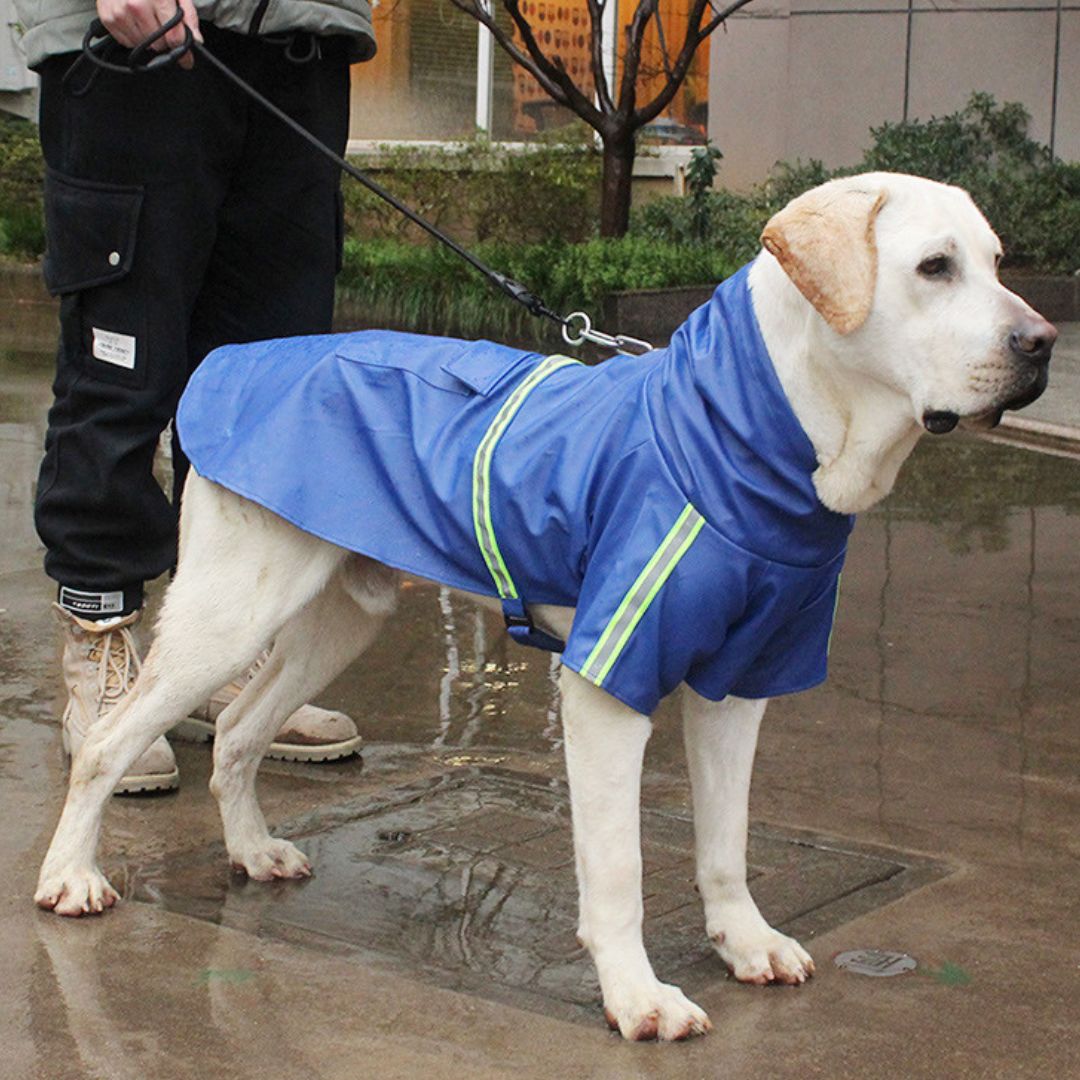 Waterproof dog coat - Stormpaw
