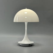 LuminousCove | Modern Decorative Lighting Solution