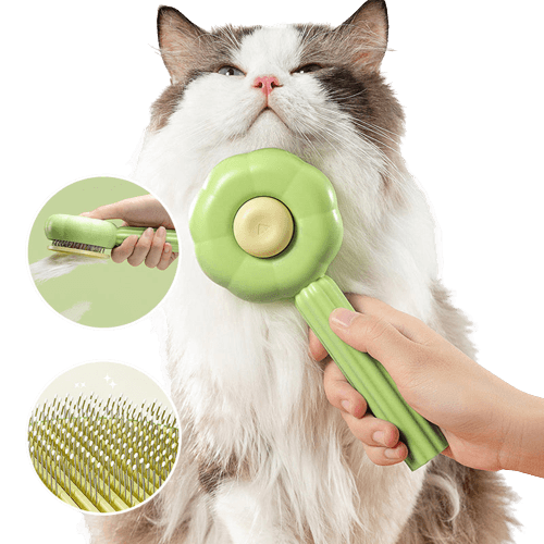 Self -cleaning cat brush - Purrfectbrush