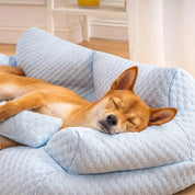 Washable plush cushion bed for pets - Cozypaws