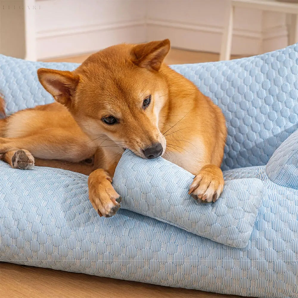 Washable plush cushion bed for pets - Cozypaws