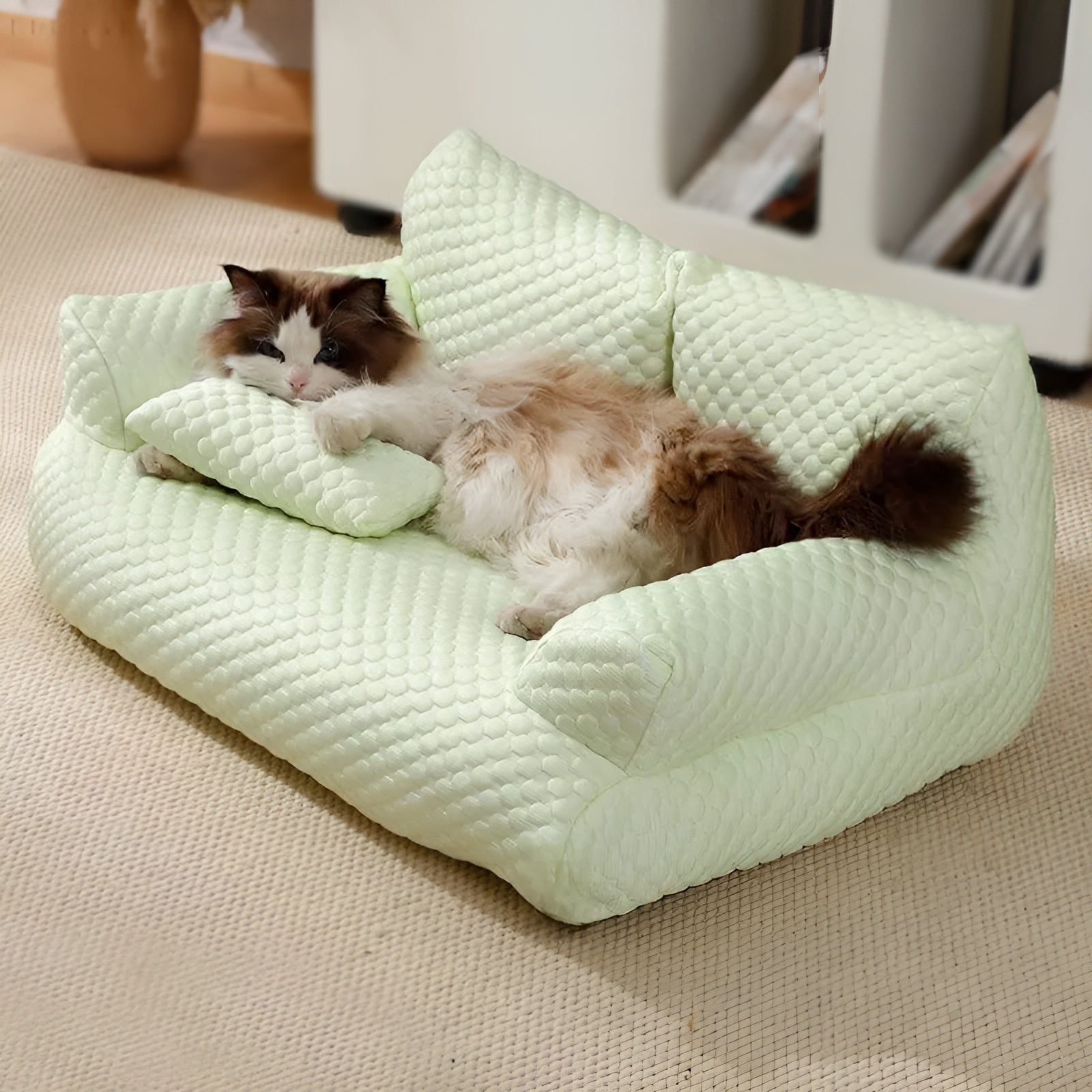 Washable plush cushion bed for pets - Cozypaws