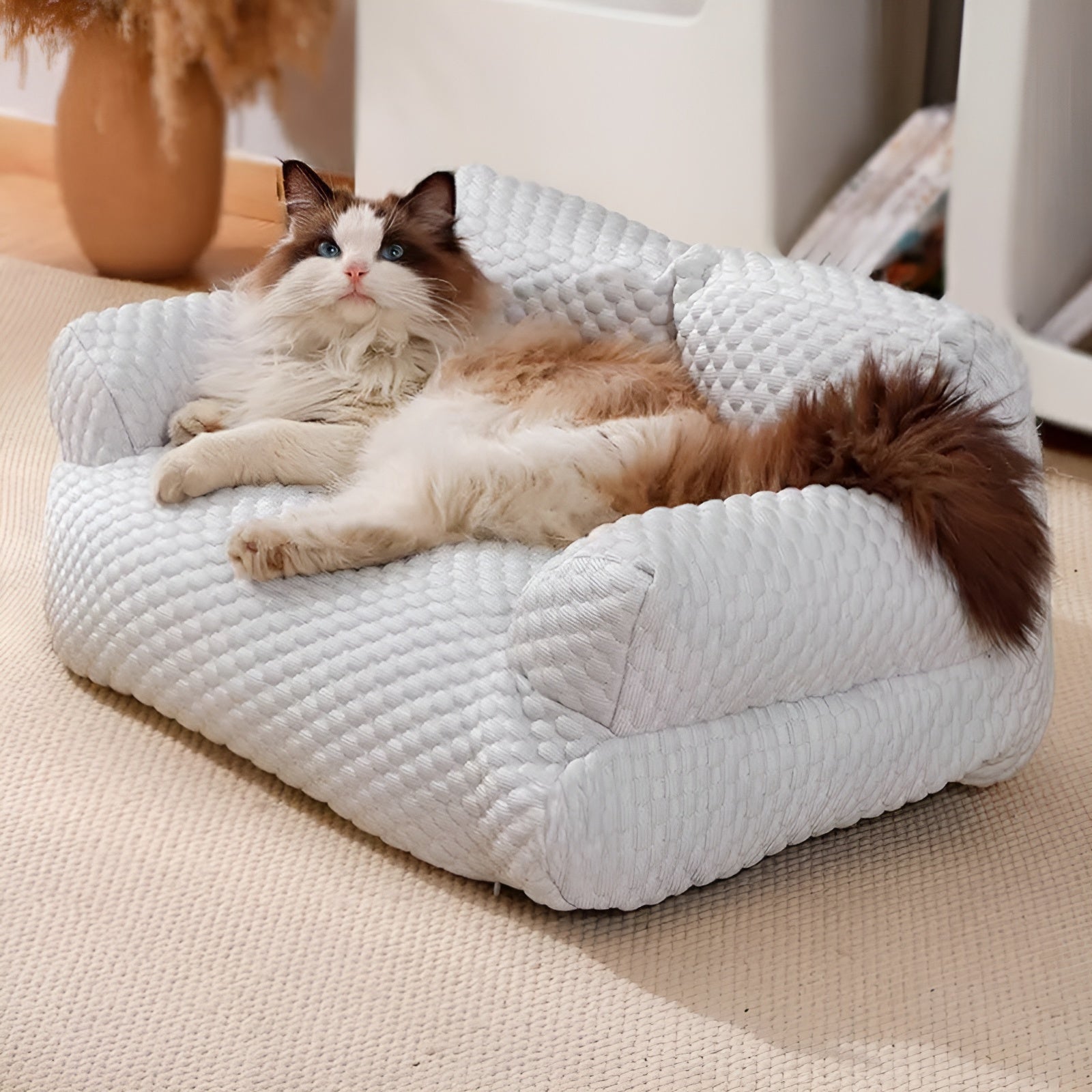 Washable plush cushion bed for pets - Cozypaws