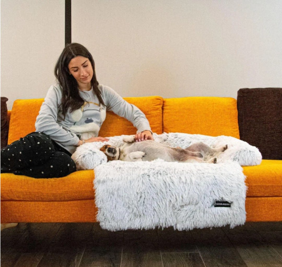 Luxury Hondsofa Bed - Pawlounge
