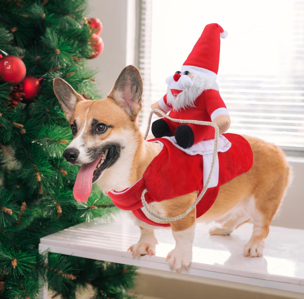 Christmasdog ™ ️