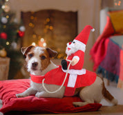 Christmasdog ™ ️