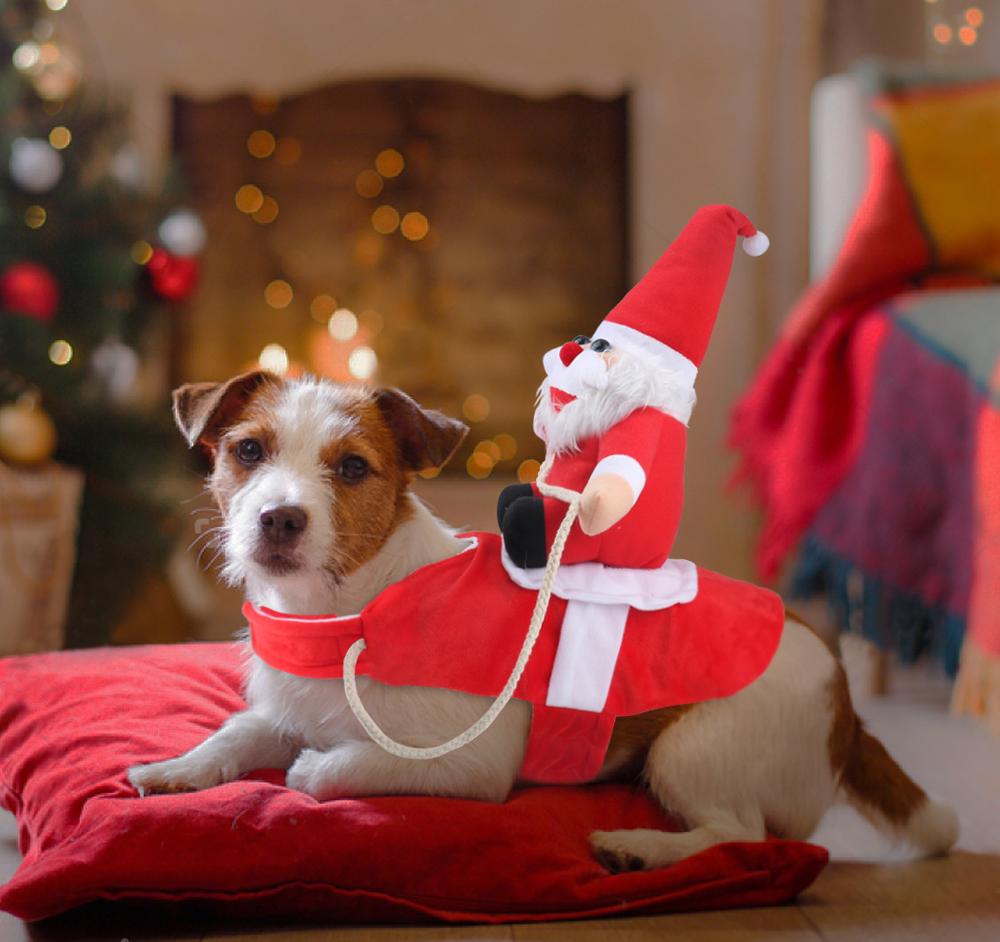 Christmasdog ™ ️