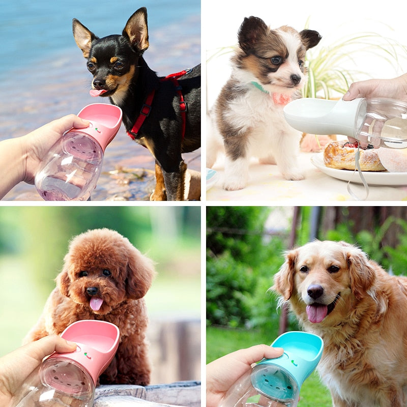 Doggo Bottle | Easy water at hand everywhere