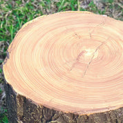 Creative Tree Stump Garden Light - Energy-Efficient Outdoor LED Lights, 50,000-Hour Lifespan-5