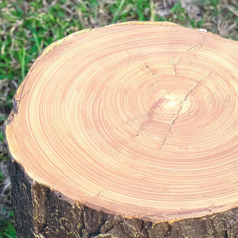 Creative Tree Stump Garden Light - Energy-Efficient Outdoor LED Lights, 50,000-Hour Lifespan-5