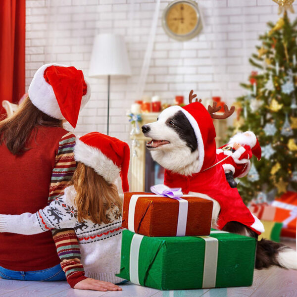 Christmasdog ™ ️