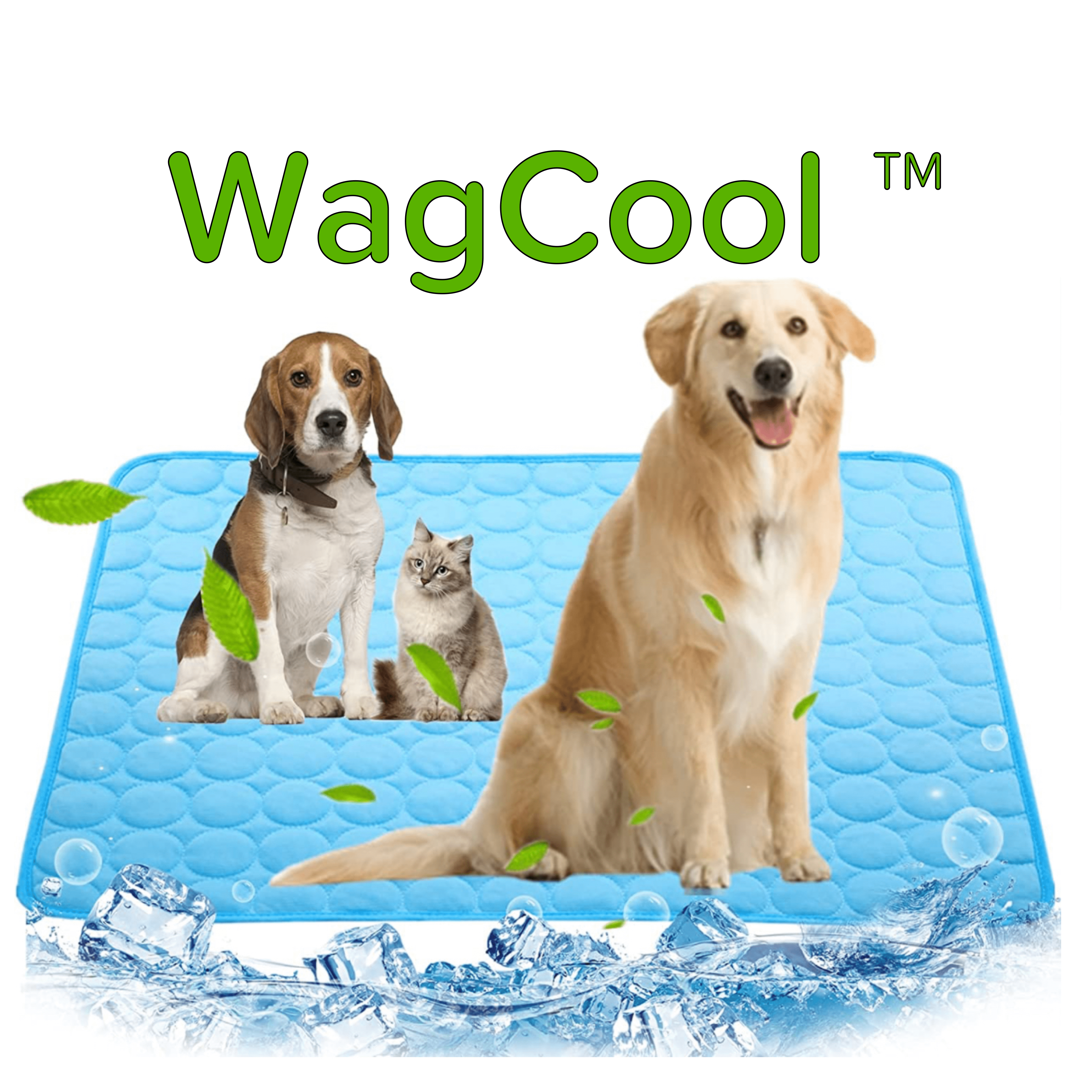 IMG_3235.png