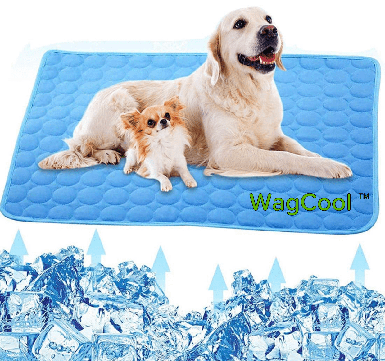 IMG_3241_cbce7540-f70e-4cbd-b237-0e24db75a333.png