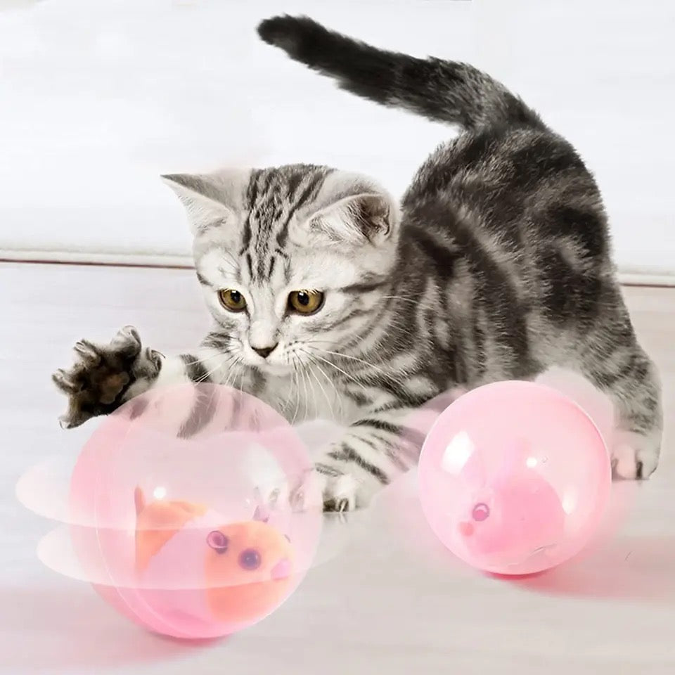 Rolling cat toy - Furryroller