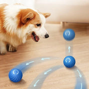 Happily ball | Infinite game time for your animal lover!-6