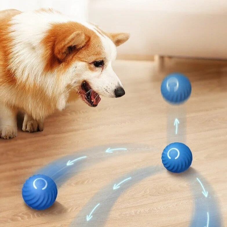 Happily ball | Infinite game time for your animal lover!-6