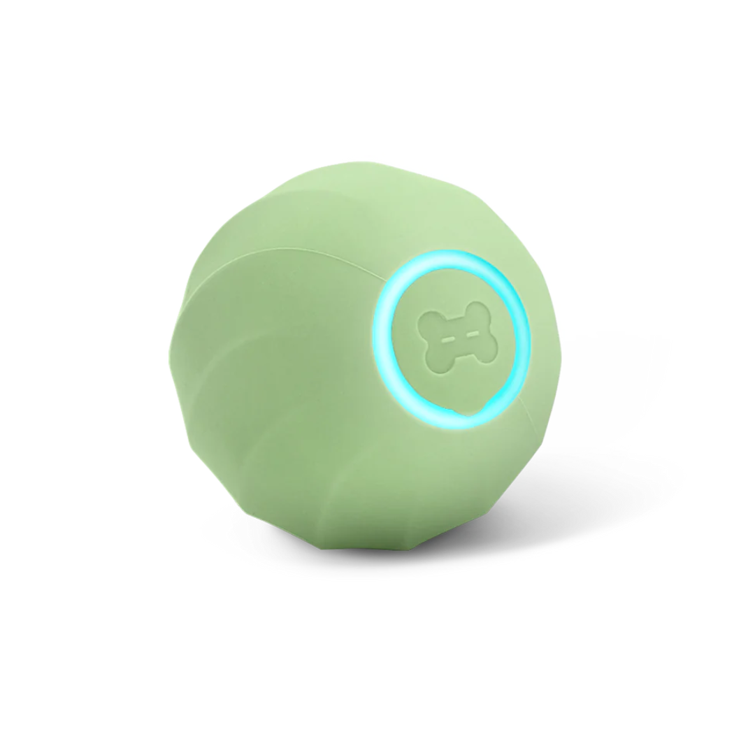 Happily ball | Infinite game time for your animal lover!-1