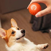 Happily ball | Infinite game time for your animal lover!-4