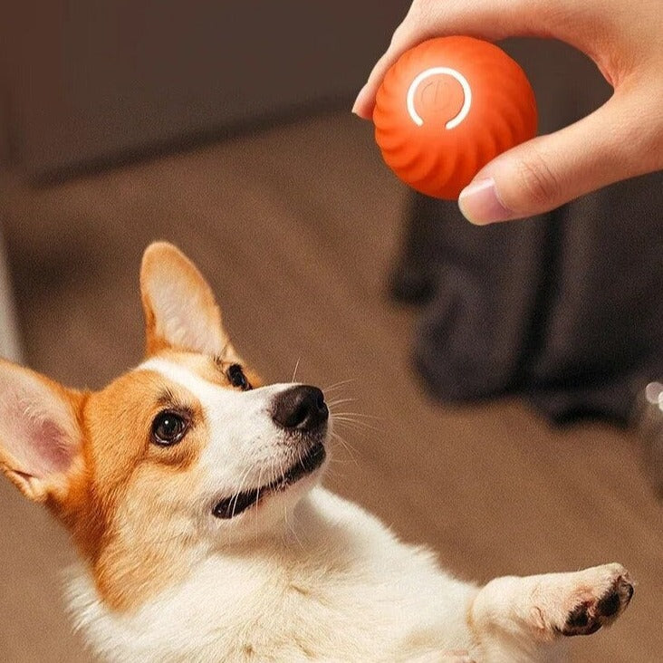 Happily ball | Infinite game time for your animal lover!-4