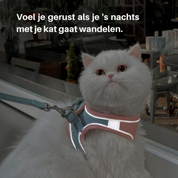 Cat harness - Oscar