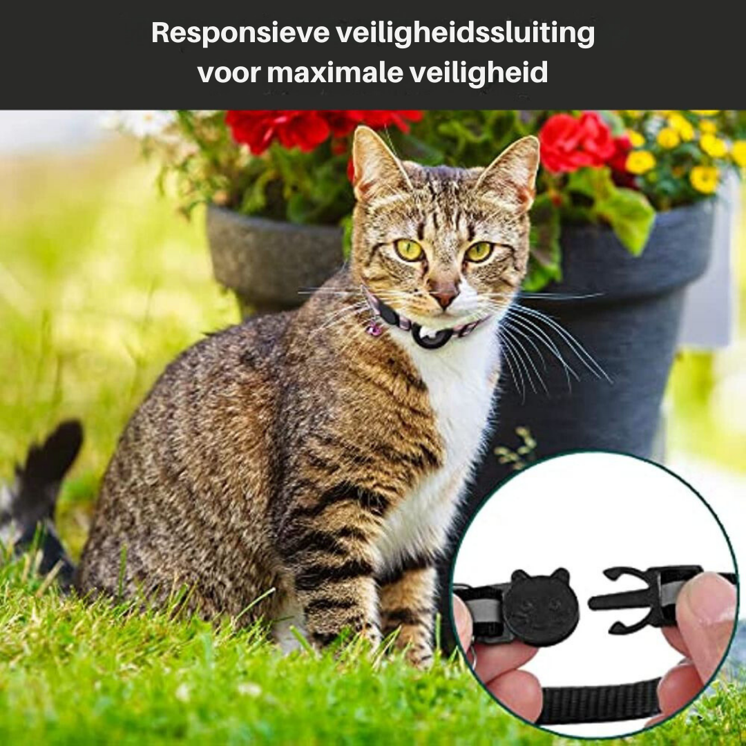 Cats collar with safety closure - Milo