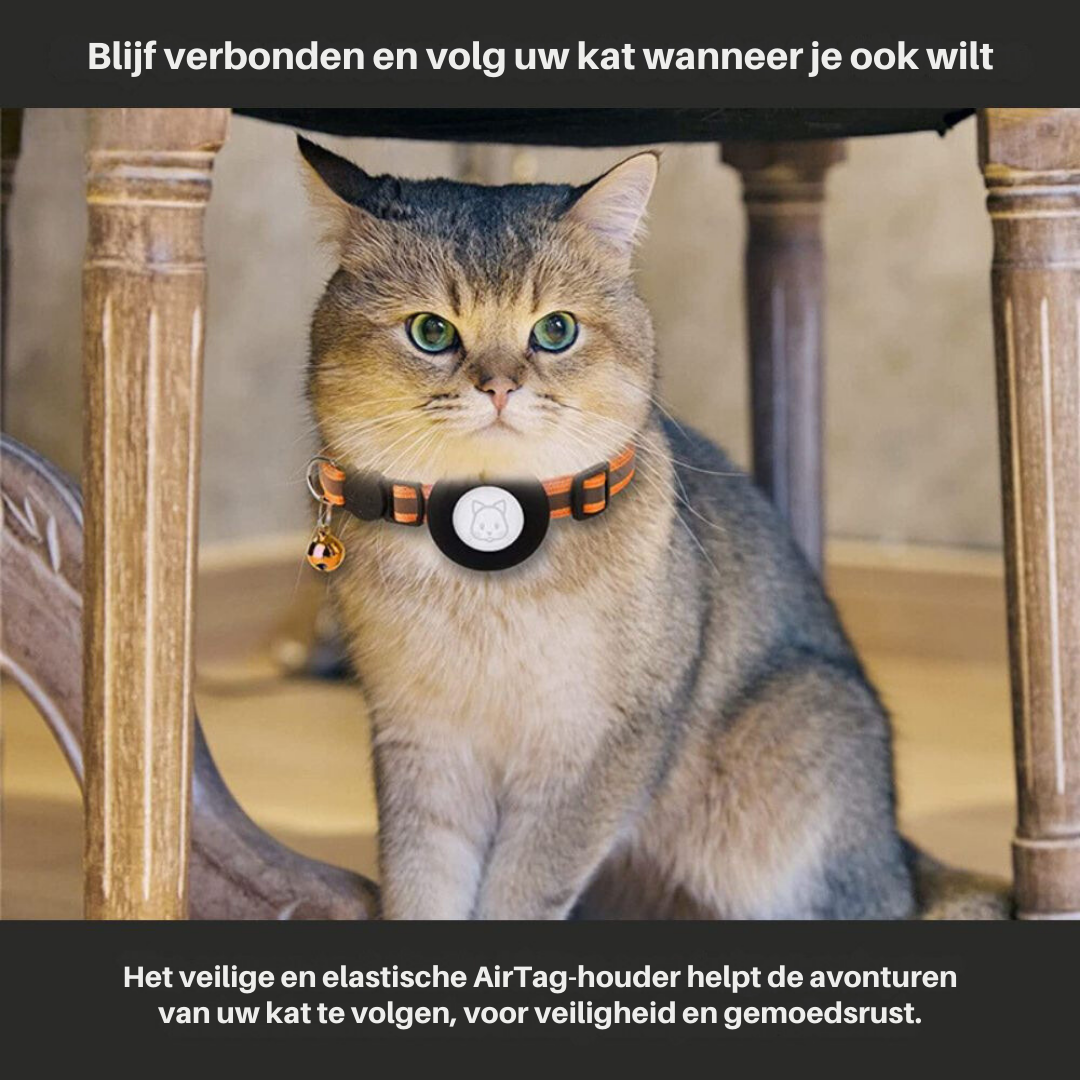 Cats collar with safety closure - Milo