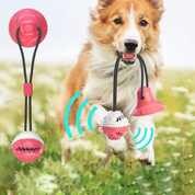 Sturdy Dog Stretching - PlayPaw