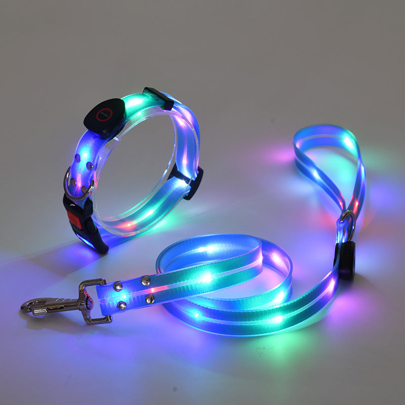 Luminous LED dog collar with belt - Nightbright