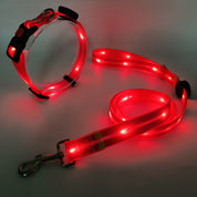 Luminous LED dog collar with belt - Nightbright