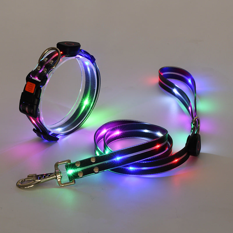 Luminous LED dog collar with belt - Nightbright