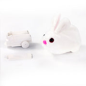 Rolling cat toy - Furryroller