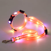 Luminous LED dog collar with belt - Nightbright