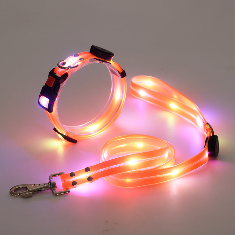 Luminous LED dog collar with belt - Nightbright