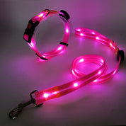 Luminous LED dog collar with belt - Nightbright