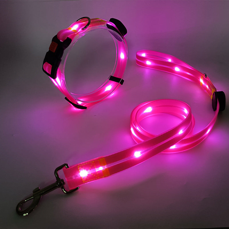 Luminous LED dog collar with belt - Nightbright
